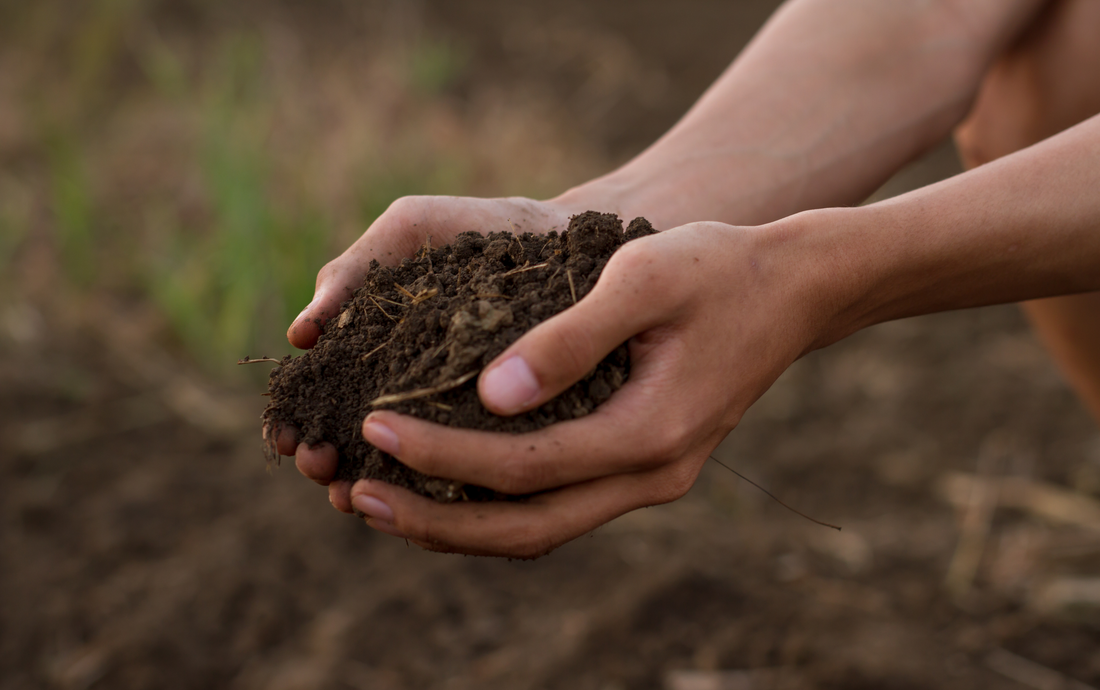 Our products: Heath & Heather Certified Organic by The Soil Association