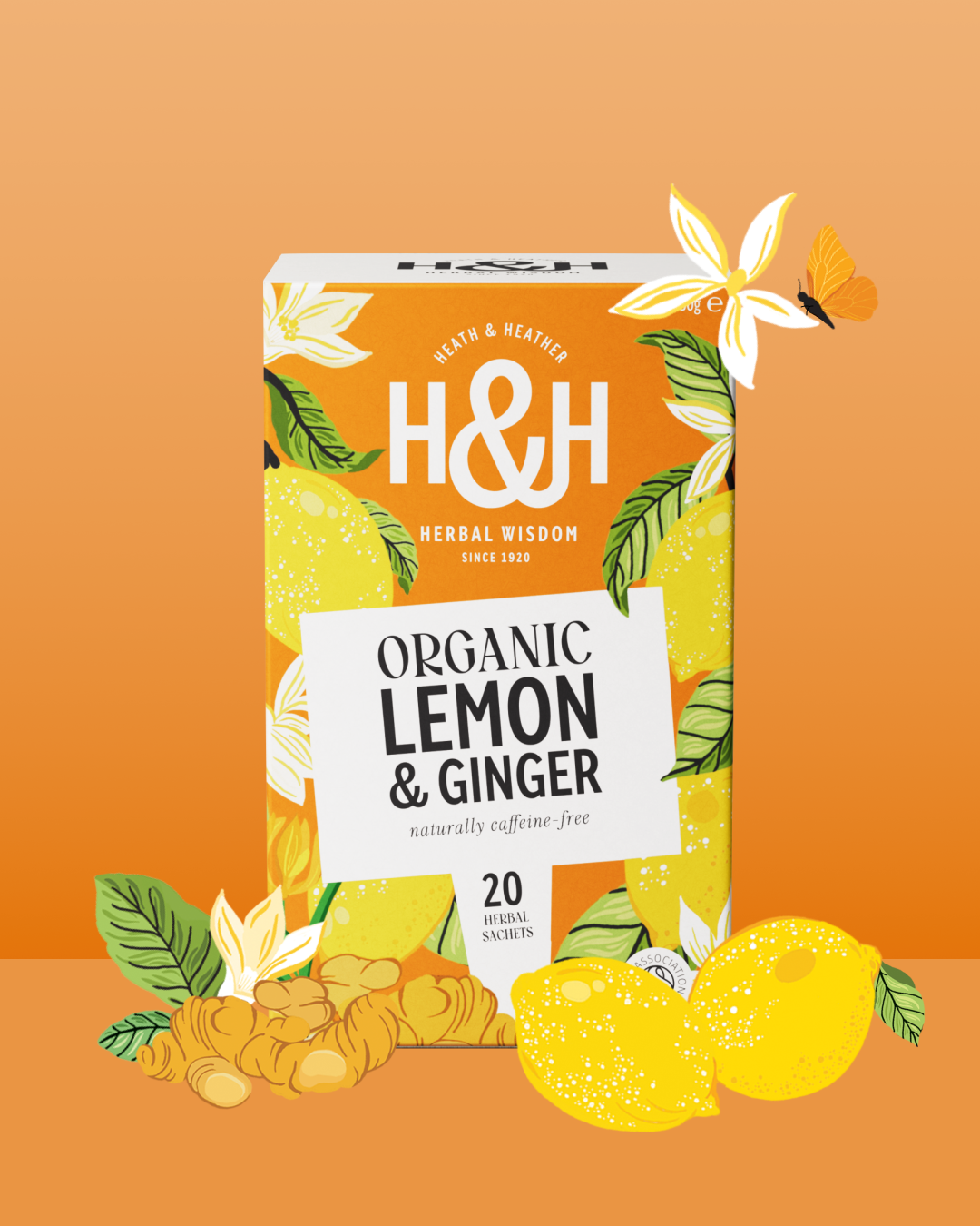 Lemon_Ginger_V2.png?v=