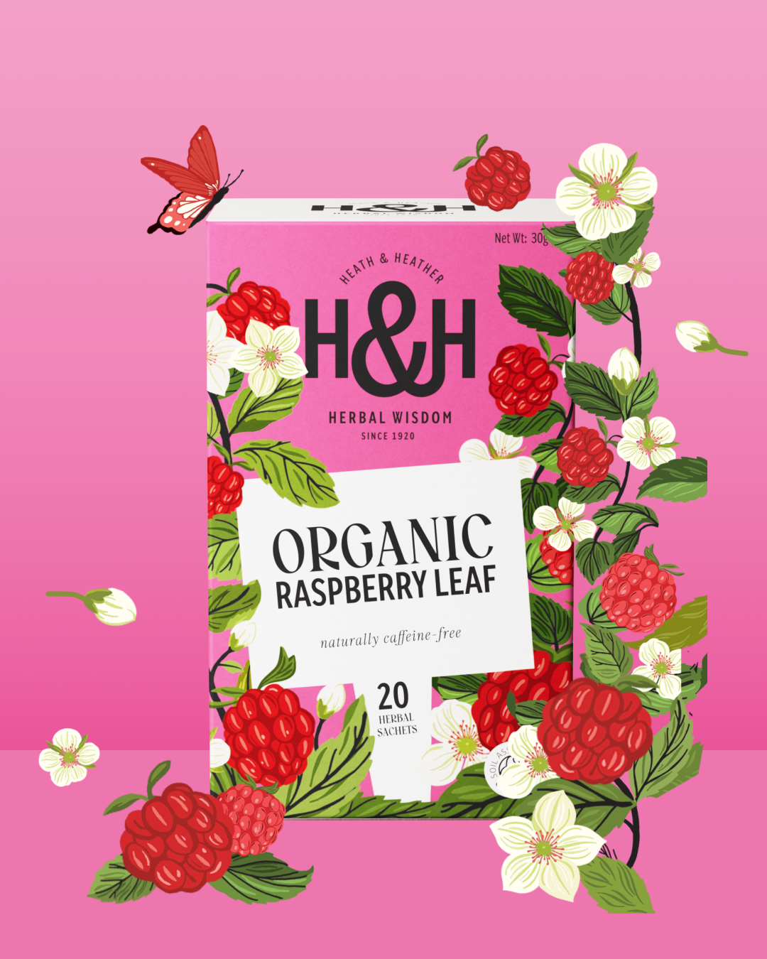 German Raspberry Tea Bag Raspberry Leaf Organic Herbal Tea Bags – Heath and Heather